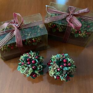 Small Potted Topiaries